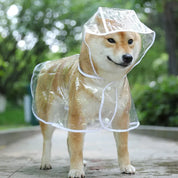 Chaqueta impermeable con capucha para mascotas