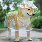 Chaqueta impermeable con capucha para mascotas