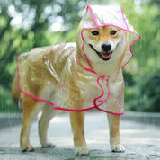 Chaqueta impermeable con capucha para mascotas